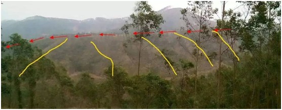 风水大师袁建新—玄青子简介